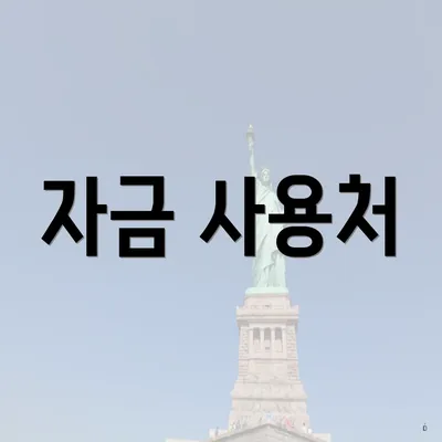 자금 사용처