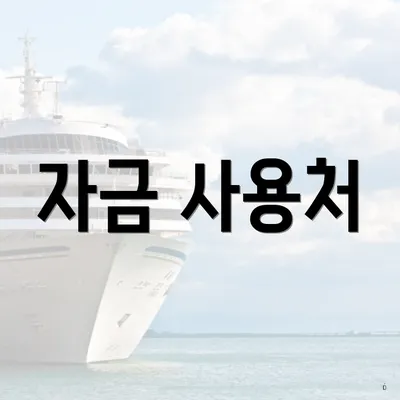 자금 사용처