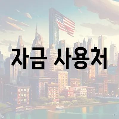 자금 사용처