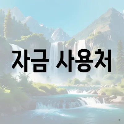 자금 사용처