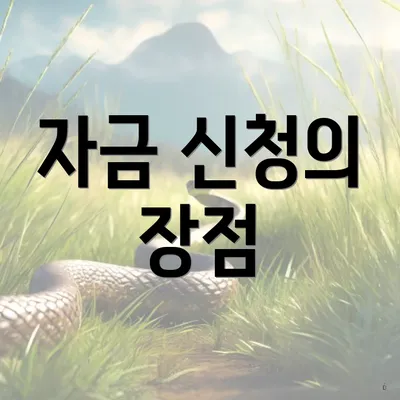 자금 신청의 장점