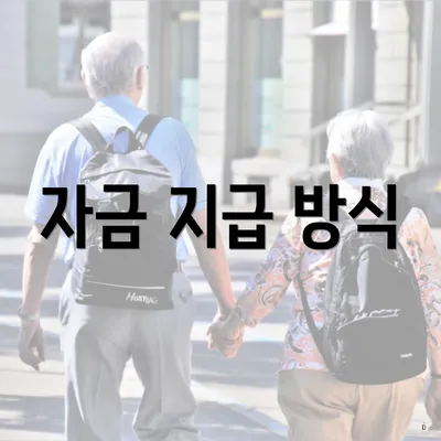자금 지급 방식