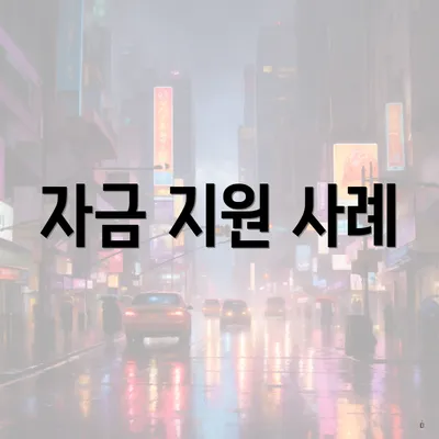 자금 지원 사례
