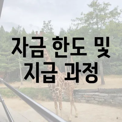 자금 한도 및 지급 과정