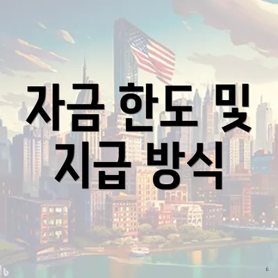 자금 한도 및 지급 방식