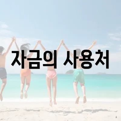 자금의 사용처
