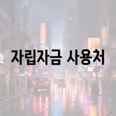 자립자금 사용처