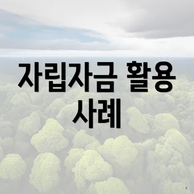 자립자금 활용 사례