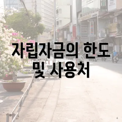 자립자금의 한도 및 사용처