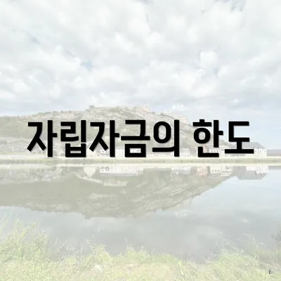 자립자금의 한도