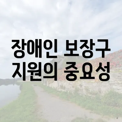 장애인 보장구 지원의 중요성