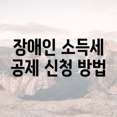 장애인 소득세 공제 신청 방법
