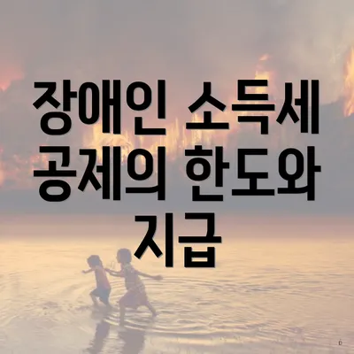 장애인 소득세 공제의 한도와 지급