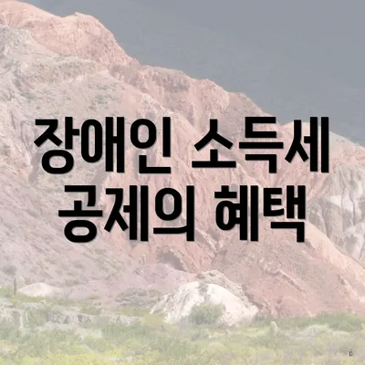 장애인 소득세 공제의 혜택