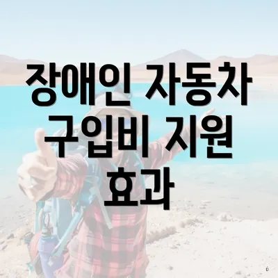 장애인 자동차 구입비 지원 효과