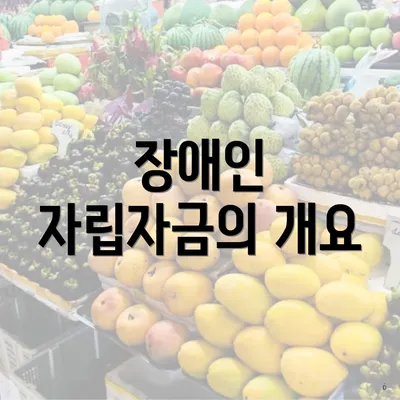 장애인 자립자금의 개요