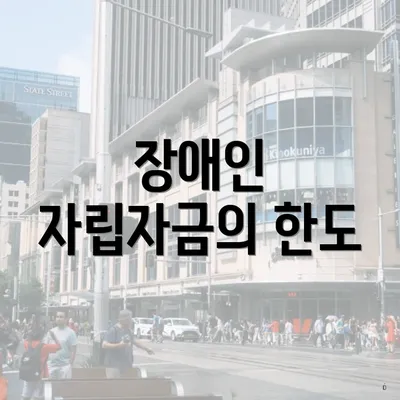 장애인 자립자금의 한도