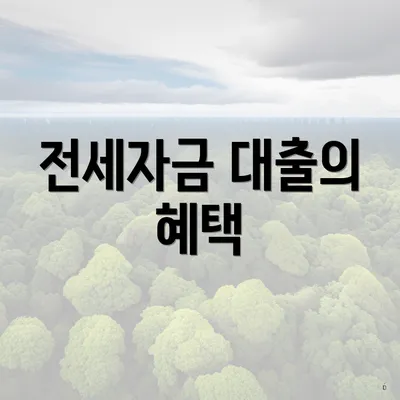 전세자금 대출의 혜택