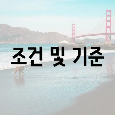 조건 및 기준
