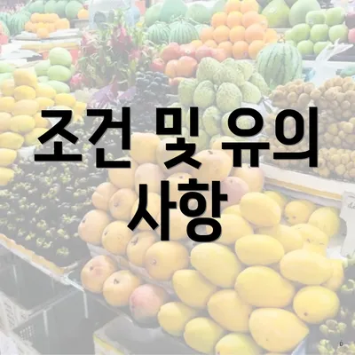 조건 및 유의 사항