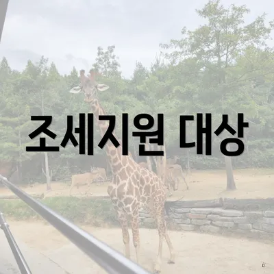조세지원 대상