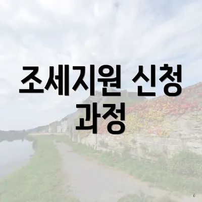 조세지원 신청 과정