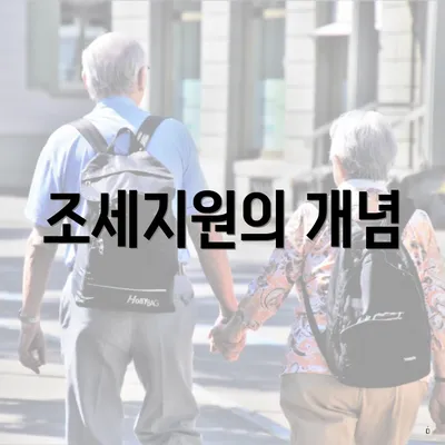 조세지원의 개념