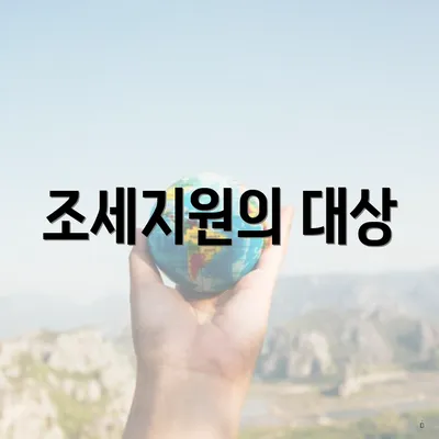 조세지원의 대상