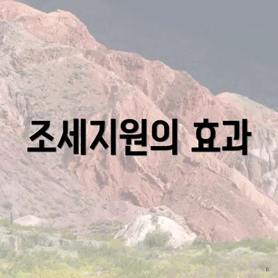 조세지원의 효과