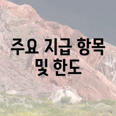 주요 지급 항목 및 한도