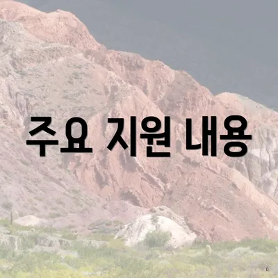 주요 지원 내용