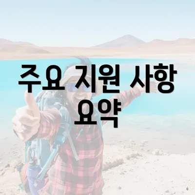 주요 지원 사항 요약