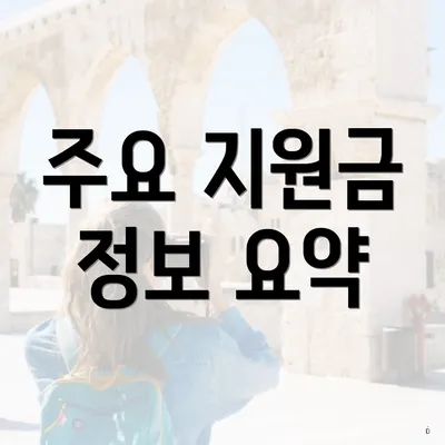 주요 지원금 정보 요약