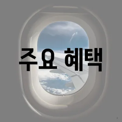 주요 혜택