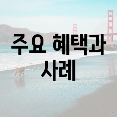 주요 혜택과 사례