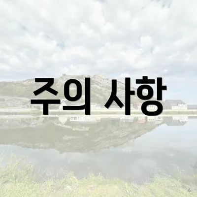 주의 사항