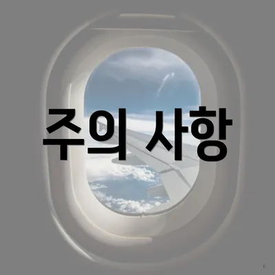 주의 사항