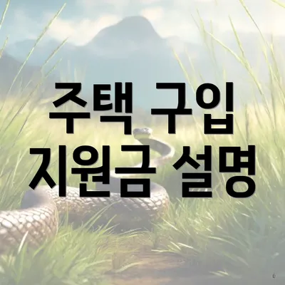 주택 구입 지원금 설명
