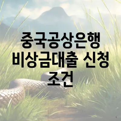 중국공상은행 비상금대출 신청 조건