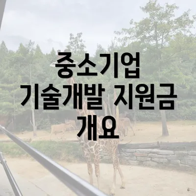 중소기업 기술개발 지원금 개요