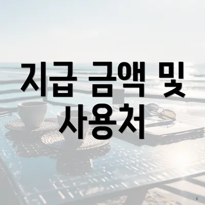 지급 금액 및 사용처