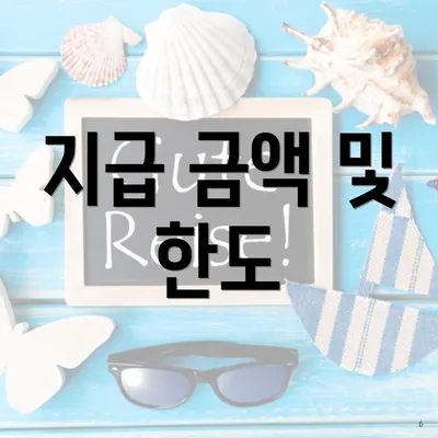 지급 금액 및 한도