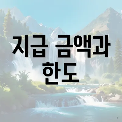 지급 금액과 한도