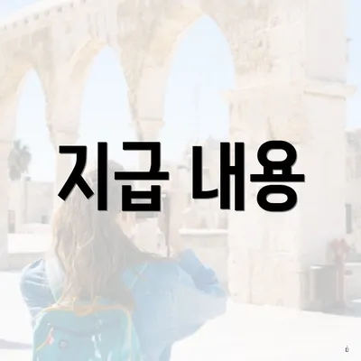 지급 내용