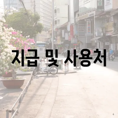 지급 및 사용처