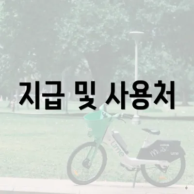 지급 및 사용처