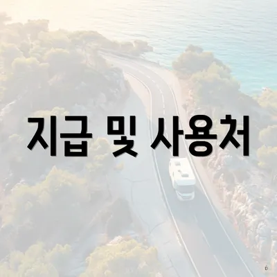 지급 및 사용처