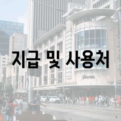지급 및 사용처