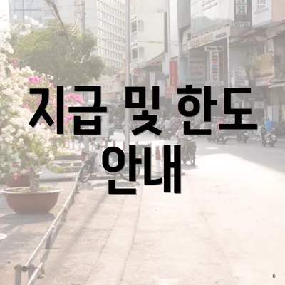 지급 및 한도 안내