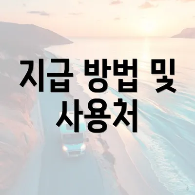 지급 방법 및 사용처